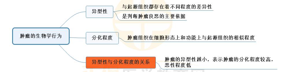 3.腫瘤的生物學(xué)行為思維導(dǎo)圖 3.腫瘤的生物學(xué)行為思維導(dǎo)圖