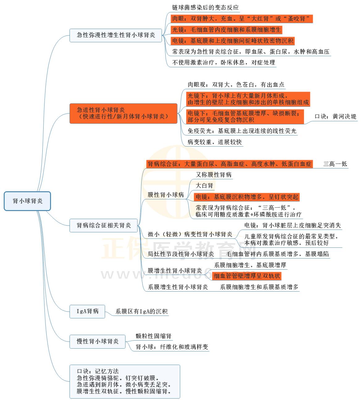 4.腎小球腎炎的思維導(dǎo)圖 4.腎小球腎炎的思維導(dǎo)圖