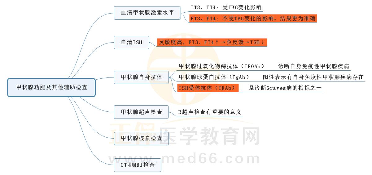 1.甲亢甲狀腺功能及其他輔助檢查思維導(dǎo)圖 1.甲亢甲狀腺功能及其他輔助檢查思維導(dǎo)圖