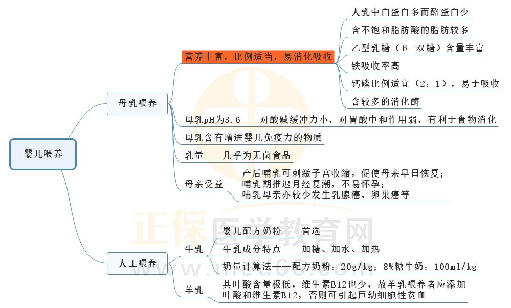 4.嬰兒喂養(yǎng)思維導(dǎo)圖 4.嬰兒喂養(yǎng)思維導(dǎo)圖