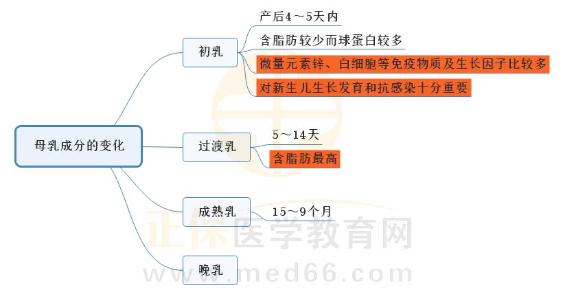5.母乳成分變化的思維導(dǎo)圖 5.母乳成分變化的思維導(dǎo)圖