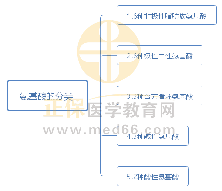 1.氨基酸的分類 1.氨基酸的分類