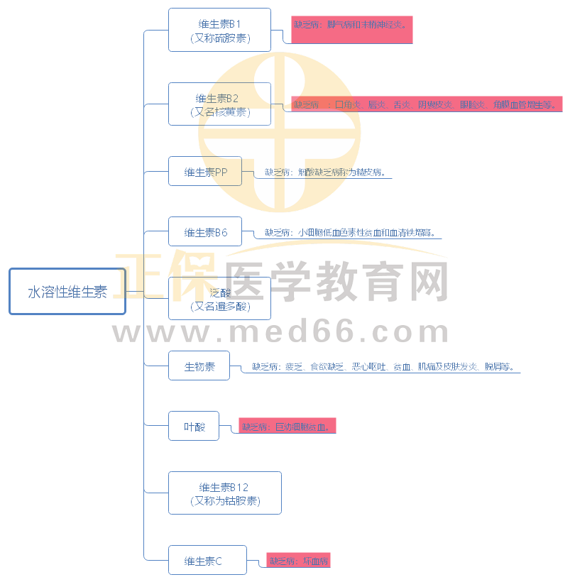 2.水溶性維生素 2.水溶性維生素