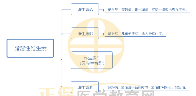 3.脂溶性維生素 3.脂溶性維生素