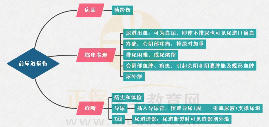 1.前尿道損傷思維導圖 1.前尿道損傷思維導圖