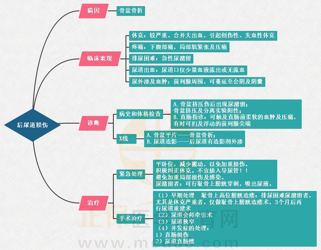 2.后尿道損傷思維導圖 2.后尿道損傷思維導圖