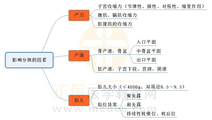 3.影響分娩因素的思維導圖 3.影響分娩因素的思維導圖
