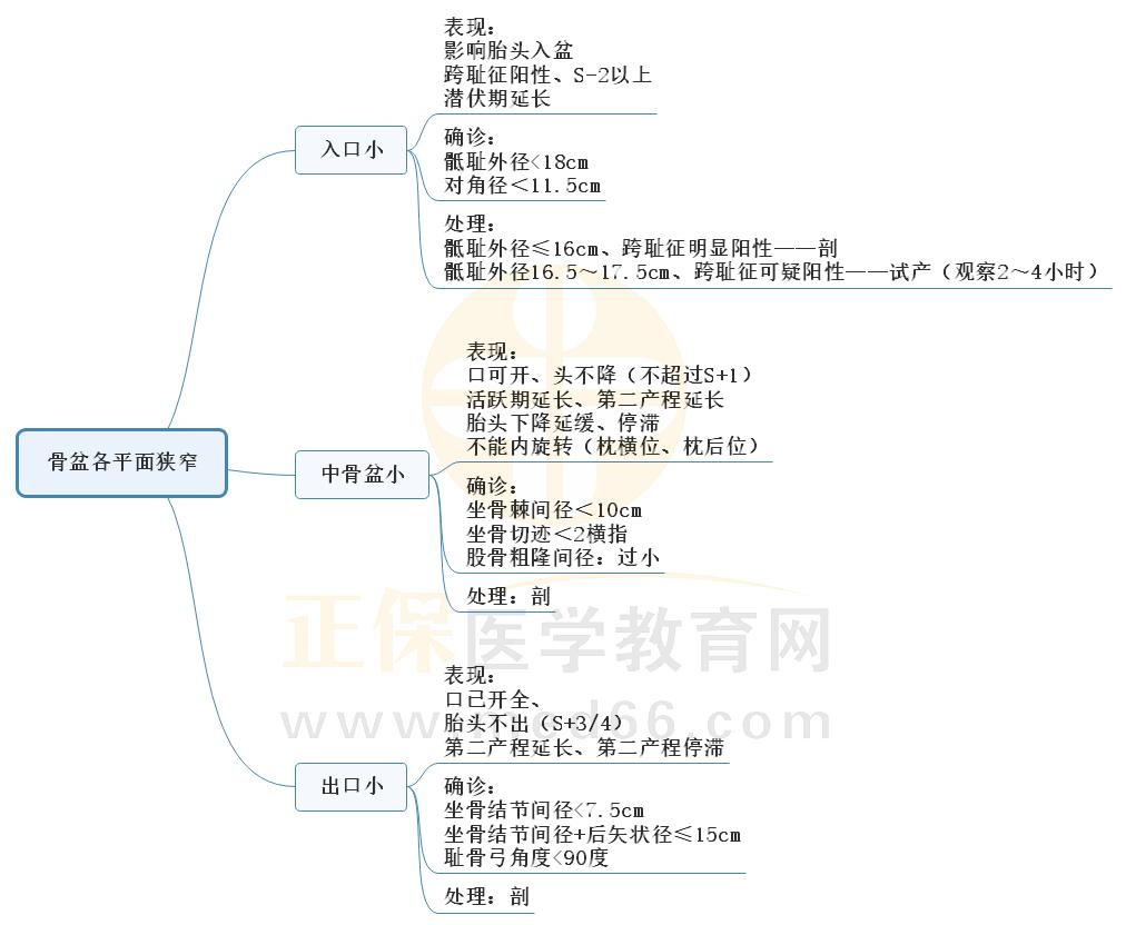 5.骨盆各平面狹窄總結(jié)思維導(dǎo)圖 5.骨盆各平面狹窄總結(jié)思維導(dǎo)圖