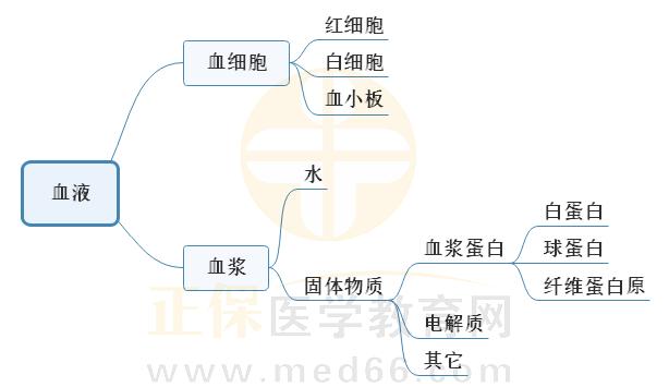 1.血液組成的思維導圖 1.血液組成的思維導圖