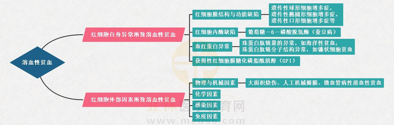 3.溶血性貧血的思維導圖(助理不要求) 3.溶血性貧血的思維導圖(助理不要求)