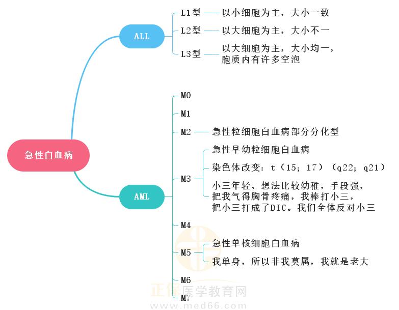 4.急性白血病思維導圖 4.急性白血病思維導圖