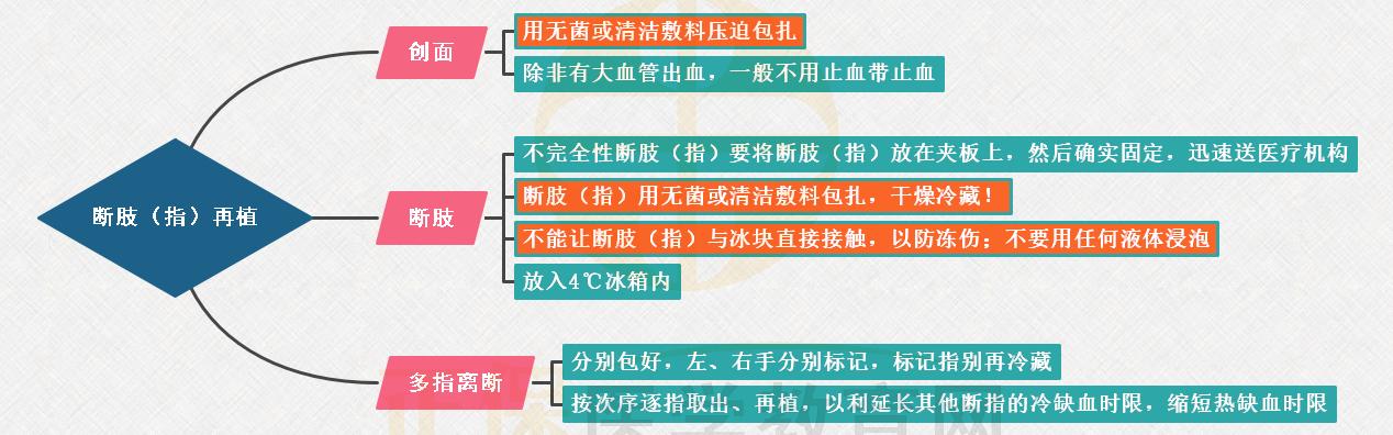 3.斷肢(指)再植的思維導(dǎo)圖 3.斷肢(指)再植的思維導(dǎo)圖