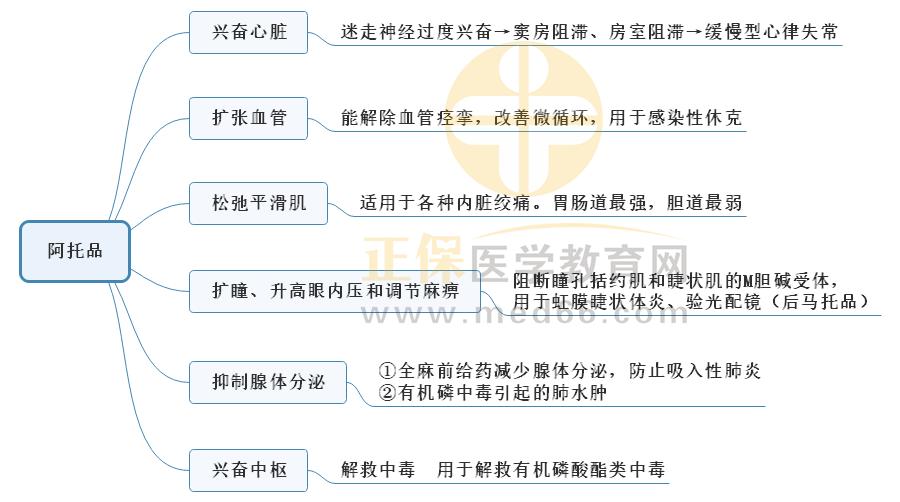 1.阿托品 1.阿托品