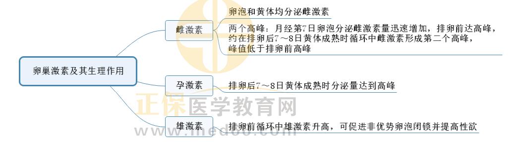 1.卵巢激素及其生理作用1 1.卵巢激素及其生理作用1