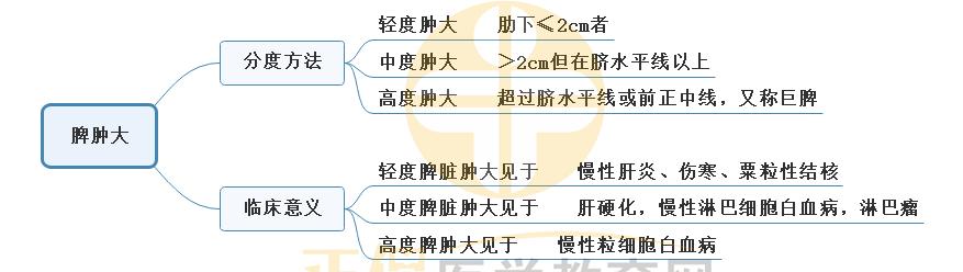 1.脾腫大 1.脾腫大