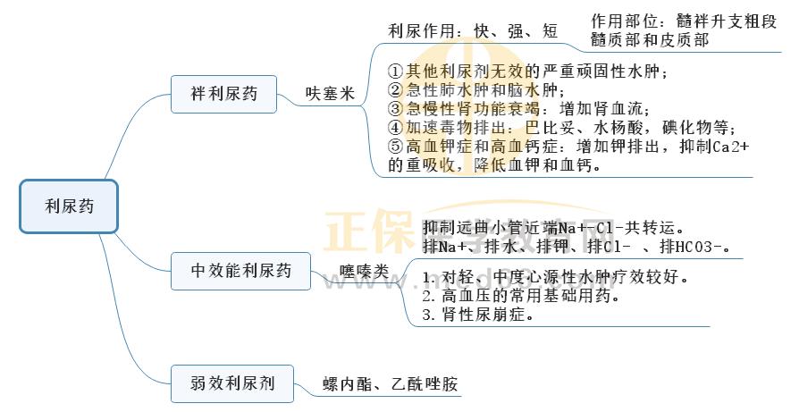 2.利尿藥1 2.利尿藥1