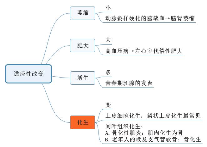 1.適應性改變思維導圖 1.適應性改變思維導圖