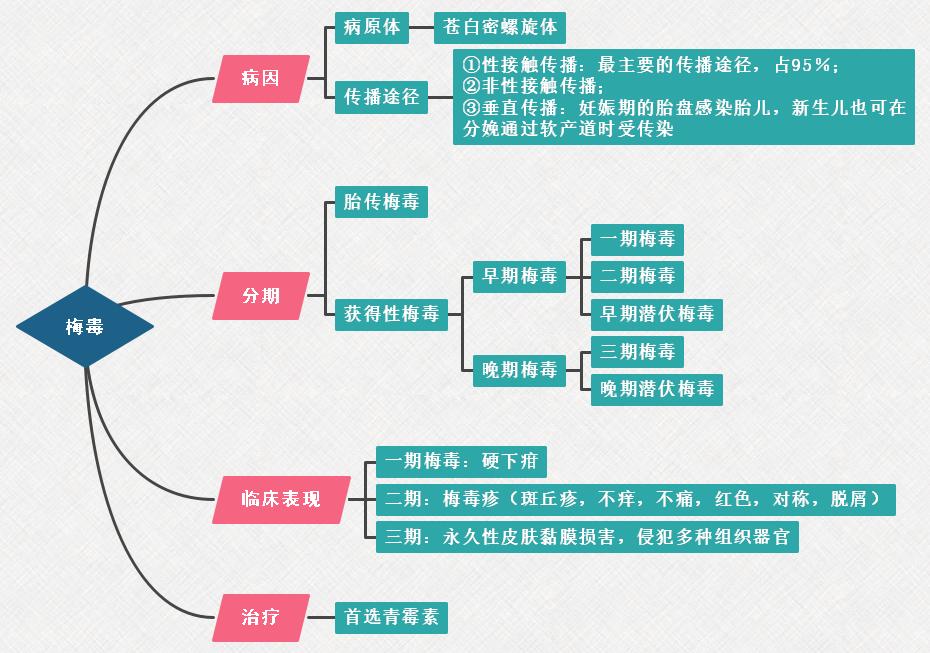 3.梅毒思維導圖 3.梅毒思維導圖