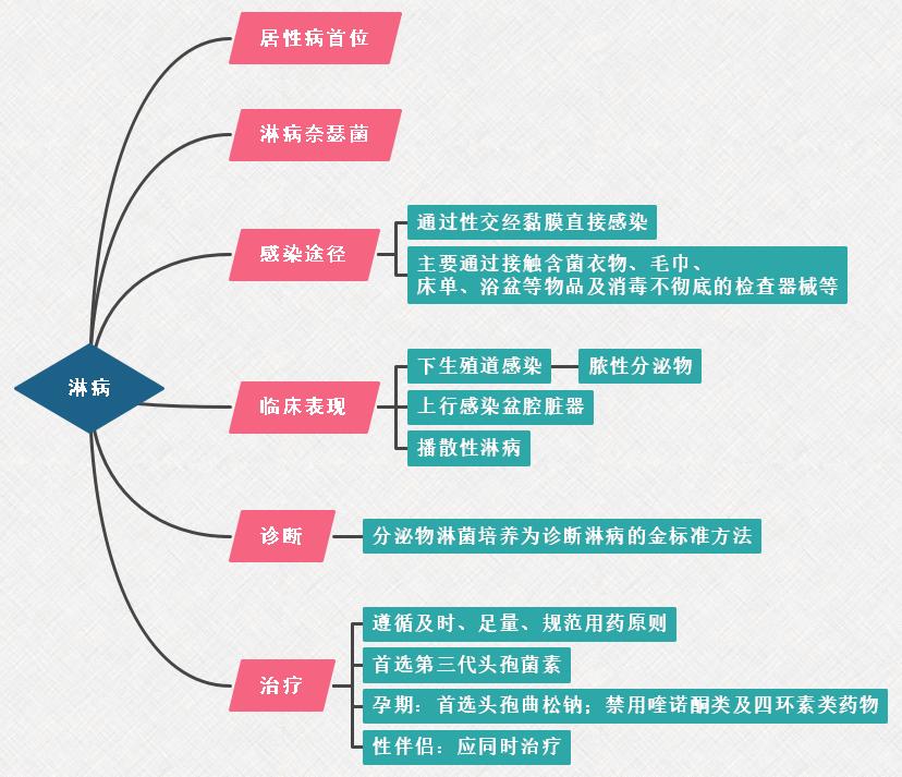 4.淋病思維導(dǎo)圖 4.淋病思維導(dǎo)圖
