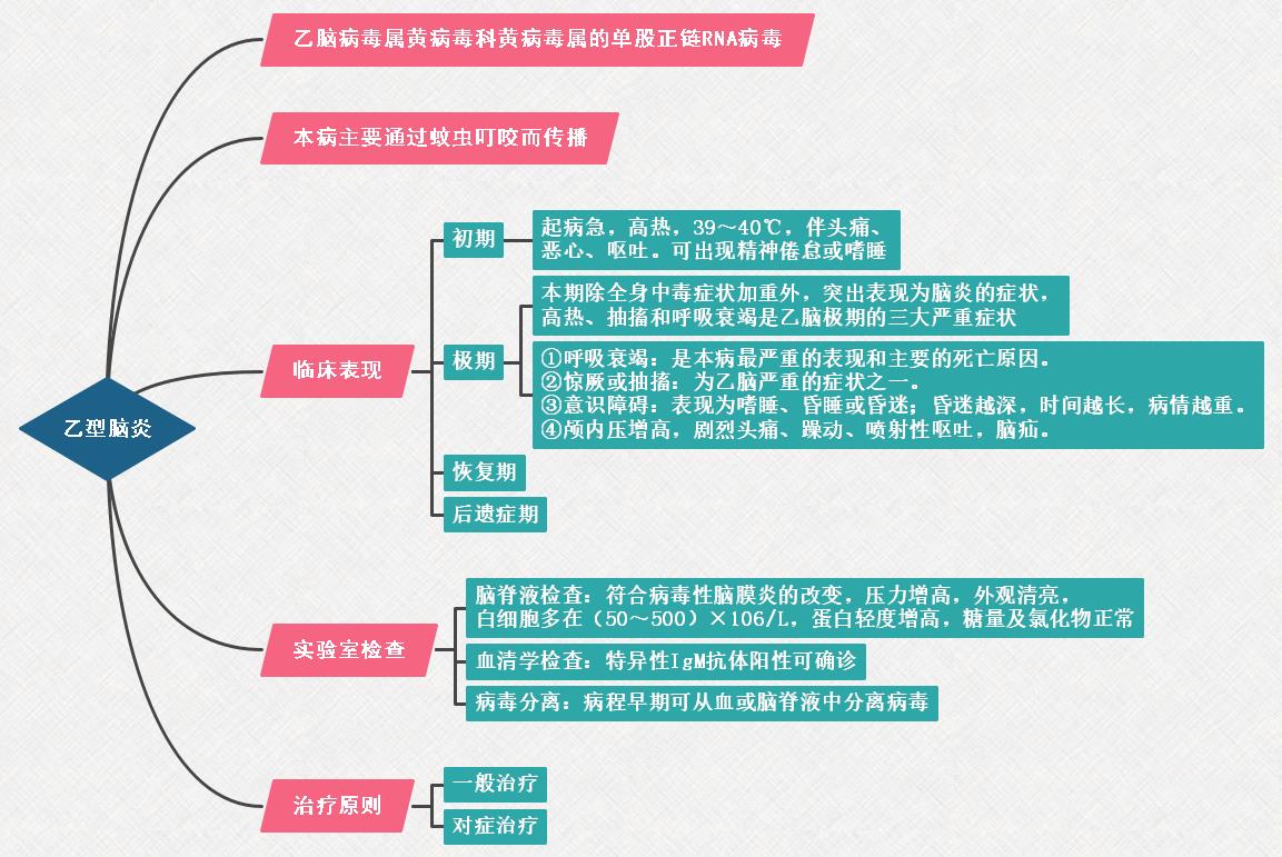 5.流行性乙型腦炎思維導(dǎo)圖 5.流行性乙型腦炎思維導(dǎo)圖
