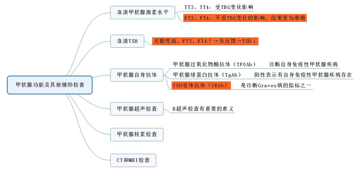 1.甲亢甲狀腺功能及其他輔助檢查思維導(dǎo)圖 1.甲亢甲狀腺功能及其他輔助檢查思維導(dǎo)圖