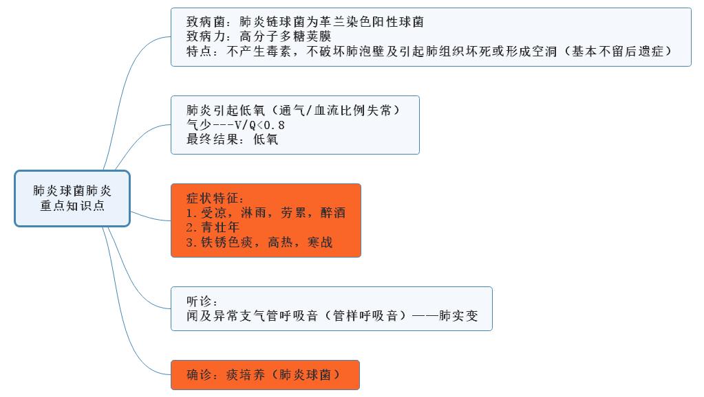 5.肺炎球菌肺炎重點(diǎn)知識(shí)點(diǎn)思維導(dǎo)圖 5.肺炎球菌肺炎重點(diǎn)知識(shí)點(diǎn)思維導(dǎo)圖