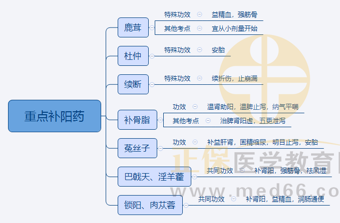 4.重點補陽藥 4.重點補陽藥