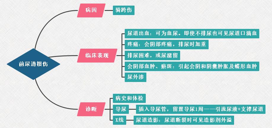 1.前尿道損傷思維導(dǎo)圖 1.前尿道損傷思維導(dǎo)圖