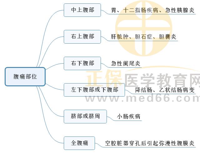 5.腹痛部位 5.腹痛部位