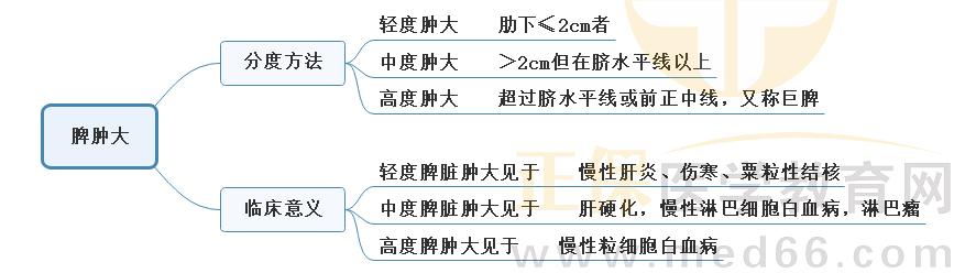 1.脾腫大 1.脾腫大