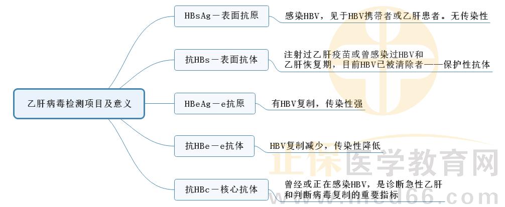 4.乙肝病毒檢測(cè)項(xiàng)目及意義 4.乙肝病毒檢測(cè)項(xiàng)目及意義