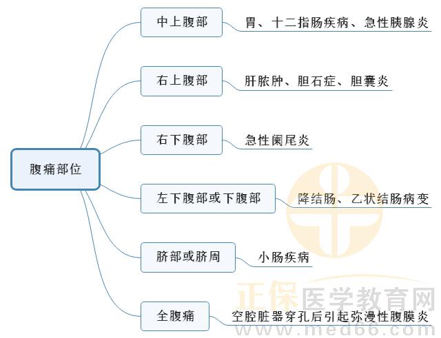 5.腹痛部位 5.腹痛部位