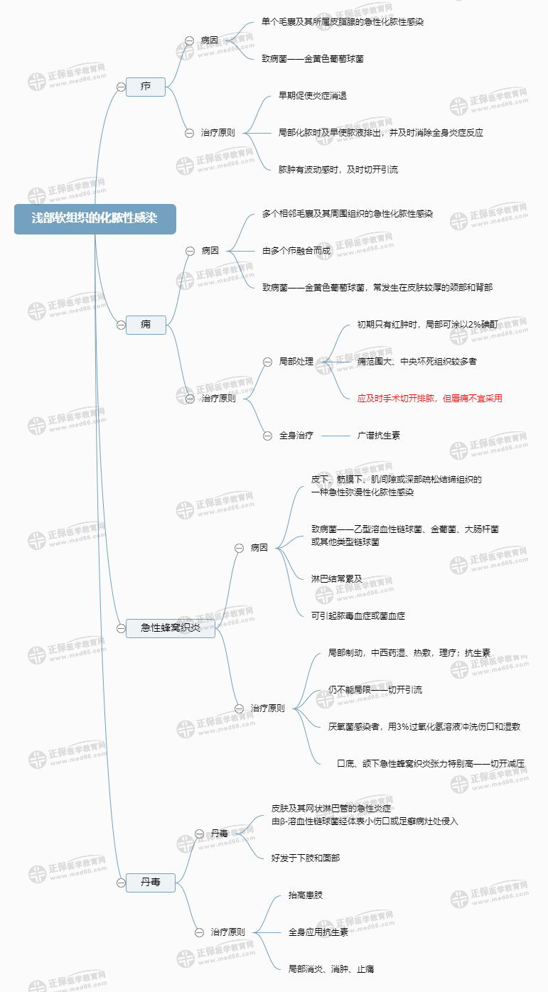淺部軟組織的化膿性感染 淺部軟組織的化膿性感染