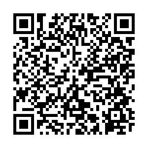 口腔醫(yī)師 口腔醫(yī)師