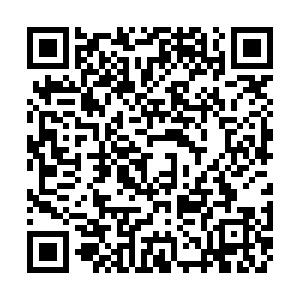 中西醫(yī)醫(yī)師 中西醫(yī)醫(yī)師