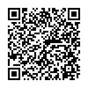 臨床醫(yī)師 臨床醫(yī)師