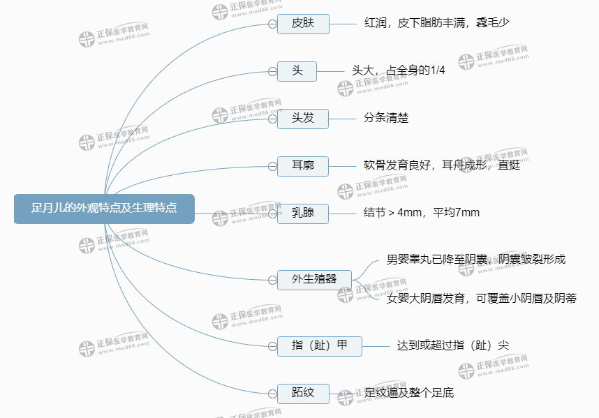 足月兒的外觀特點(diǎn)及生理特點(diǎn)