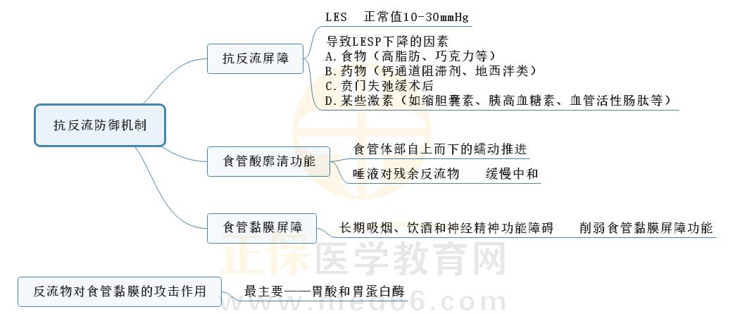 2.胃食管反流病抗反流防御機(jī)制思維導(dǎo)圖 2.胃食管反流病抗反流防御機(jī)制思維導(dǎo)圖