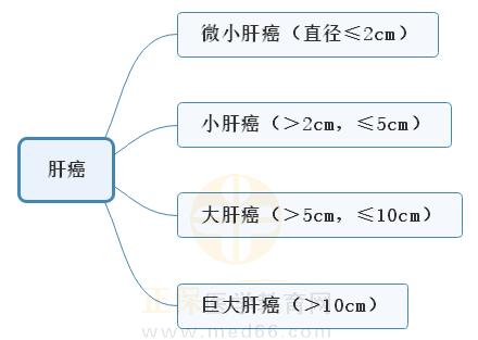 7.肝癌分型的思維導(dǎo)圖 7.肝癌分型的思維導(dǎo)圖
