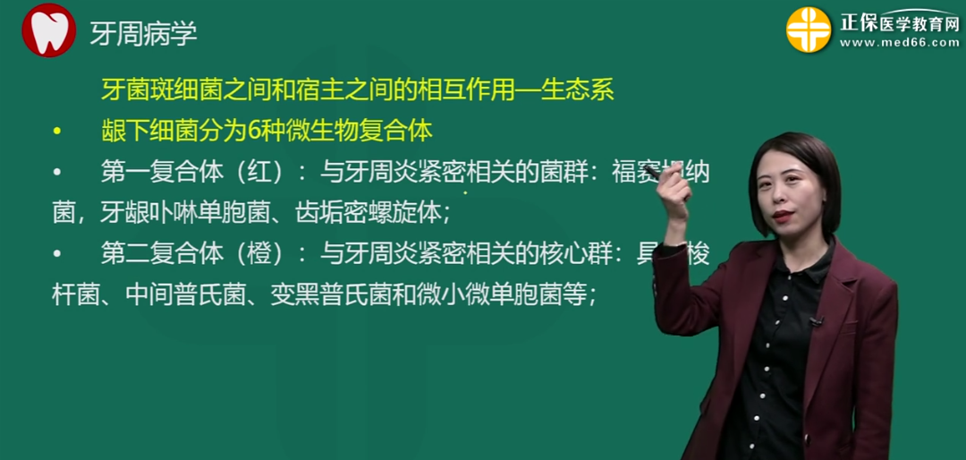 紅色復(fù)合體 紅色復(fù)合體