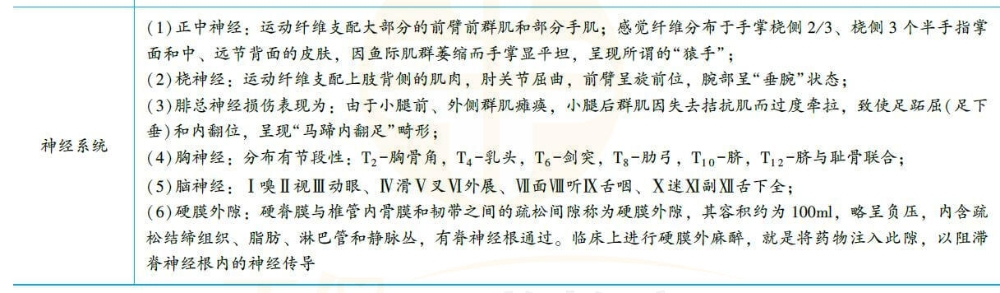 解剖學易錯考點3 解剖學易錯考點3