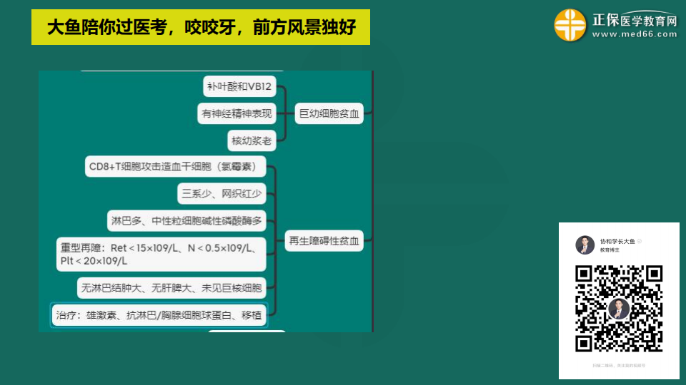 9.19臨床考前聚焦-免費直播-俞慶東_28 9.19臨床考前聚焦-免費直播-俞慶東_28