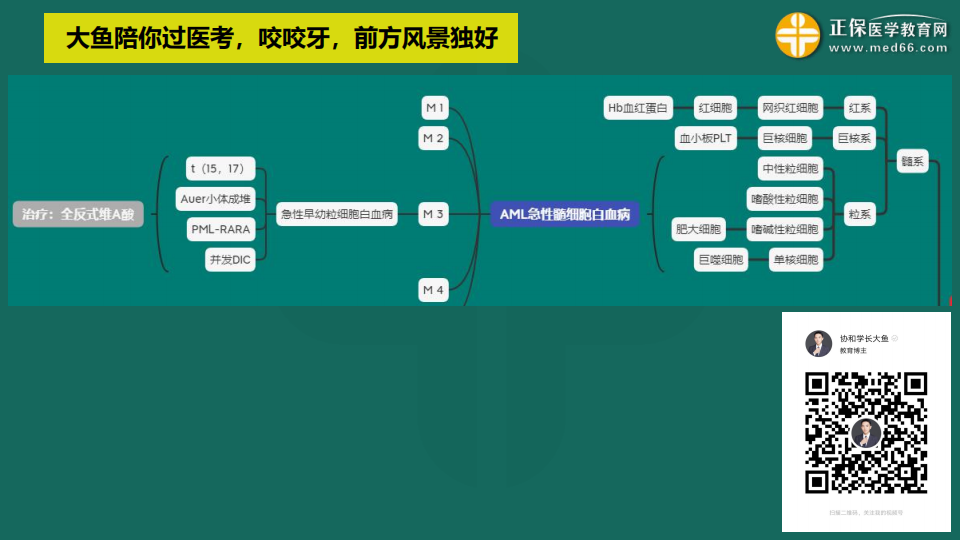 9.19臨床考前聚焦-免費直播-俞慶東_30 9.19臨床考前聚焦-免費直播-俞慶東_30
