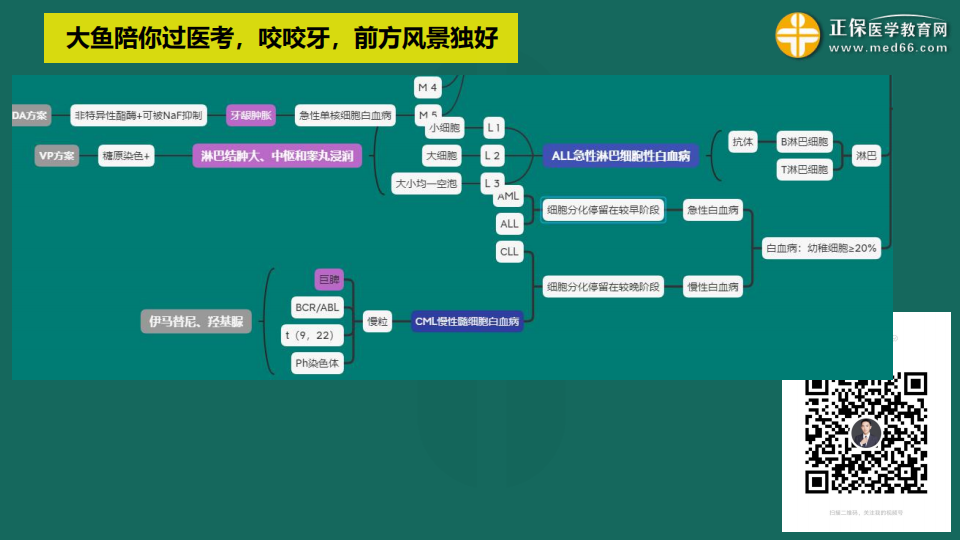 9.19臨床考前聚焦-免費直播-俞慶東_31 9.19臨床考前聚焦-免費直播-俞慶東_31