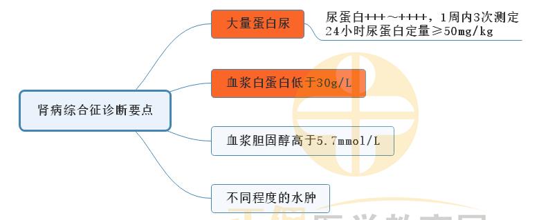 3.腎病綜合征診斷要點 3.腎病綜合征診斷要點