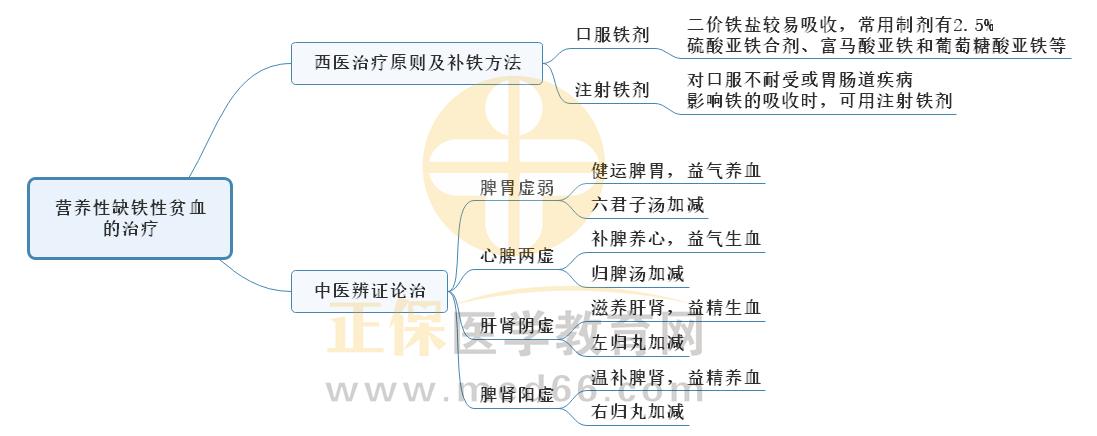 4.營養(yǎng)性缺鐵性貧血的治療 4.營養(yǎng)性缺鐵性貧血的治療