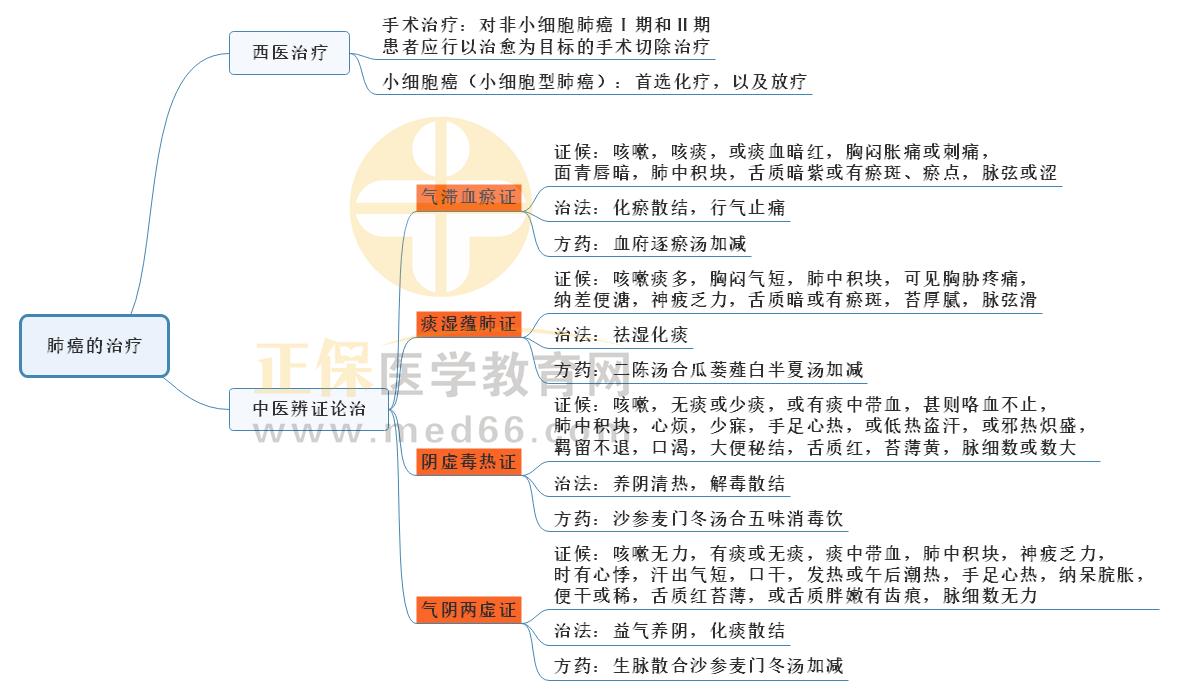 2.肺癌的治療1 2.肺癌的治療1