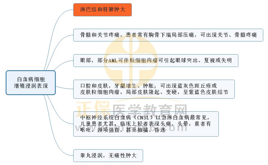 5.白血病細胞增殖浸潤表現(xiàn) 5.白血病細胞增殖浸潤表現(xiàn)
