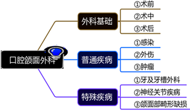 口腔頜面外科 口腔頜面外科