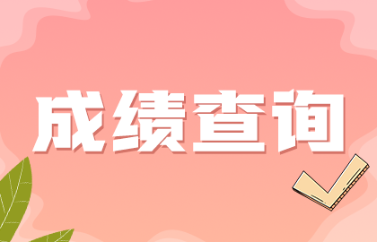 成績查詢11 成績查詢11